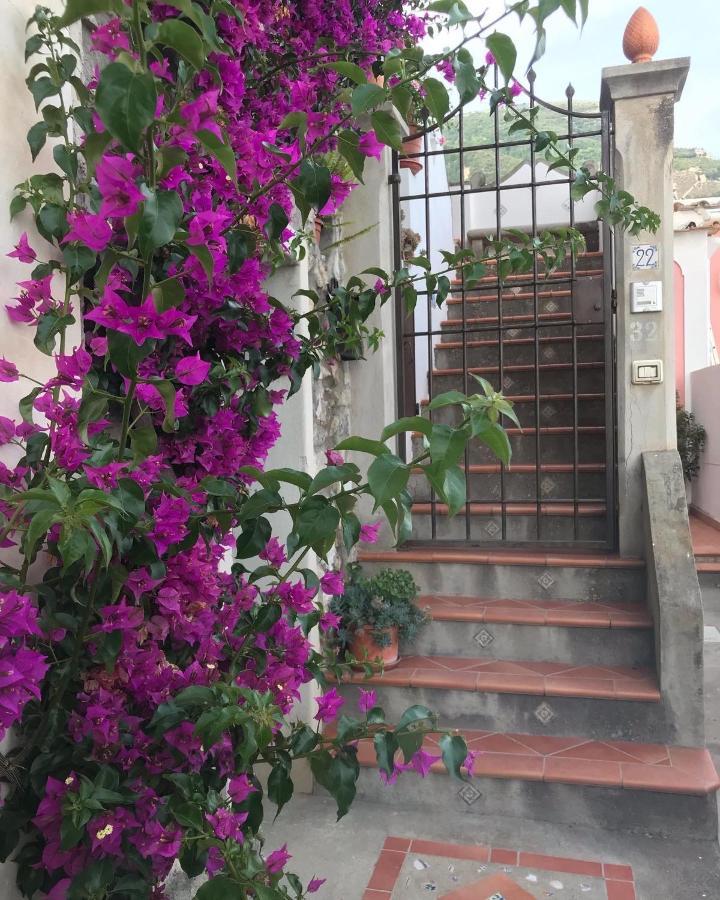 Nido D'amore - Positanohouse * Positano